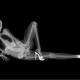 Illustration for article titled X-ray pinups: Boners for bones